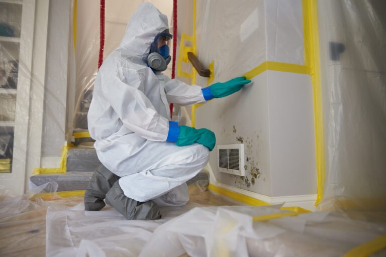 Restoration Services colorado springs